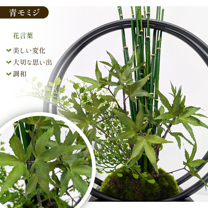 フェイクグリーン [モミジ寄せ植え盆栽 リングベースS] カップボン/CUPBON PRGR-1231　pr-24