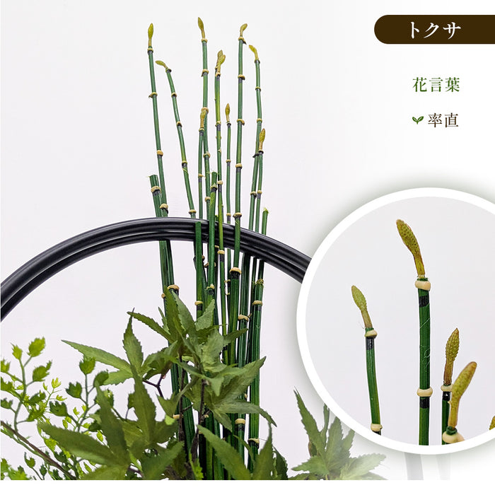 フェイクグリーン [モミジ寄せ植え盆栽 リングベースS] カップボン/CUPBON PRGR-1231　pr-24