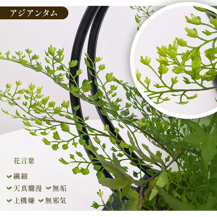 フェイクグリーン [モミジ寄せ植え盆栽 リングベースS] カップボン/CUPBON PRGR-1231　pr-24