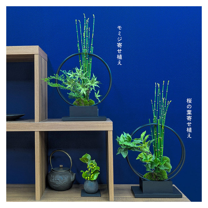 フェイクグリーン [桜の葉寄せ植え盆栽 リングベースS] カップボン/CUPBON PRGR-1231　pr-25