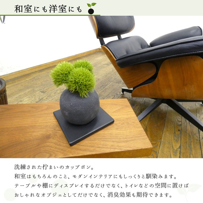 和室にも洋室にも