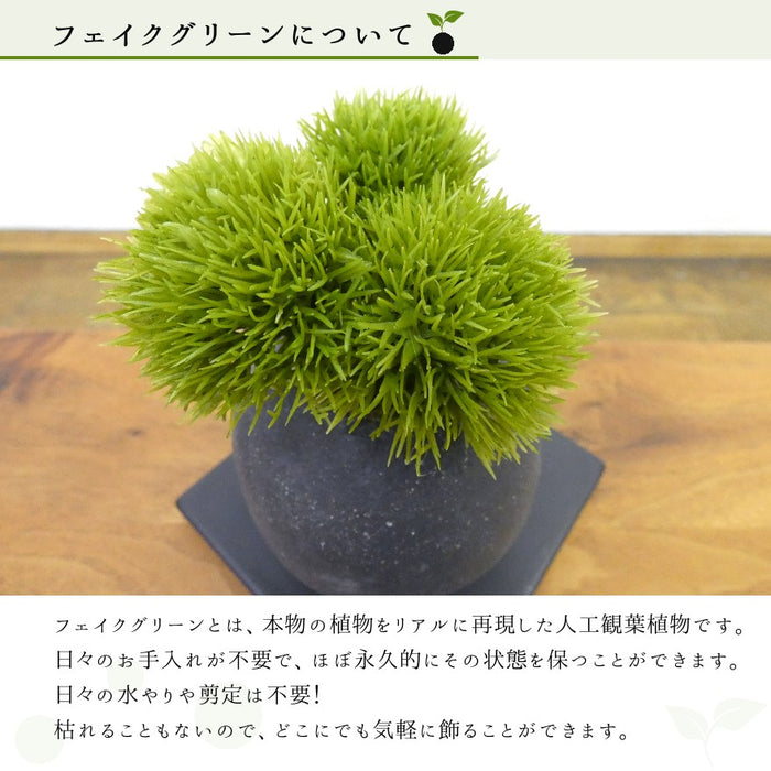 フェイクグリーンについて