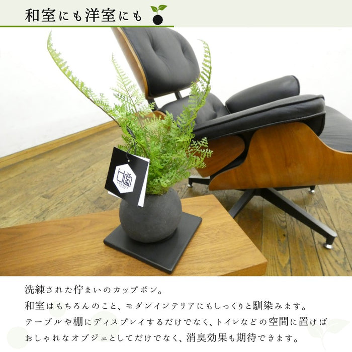 和室にも洋室にも