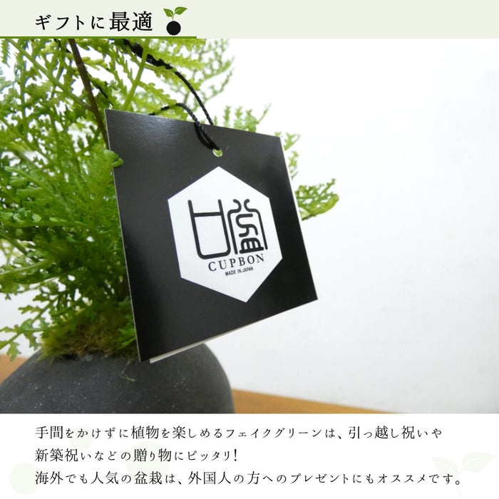 ギフトに最適