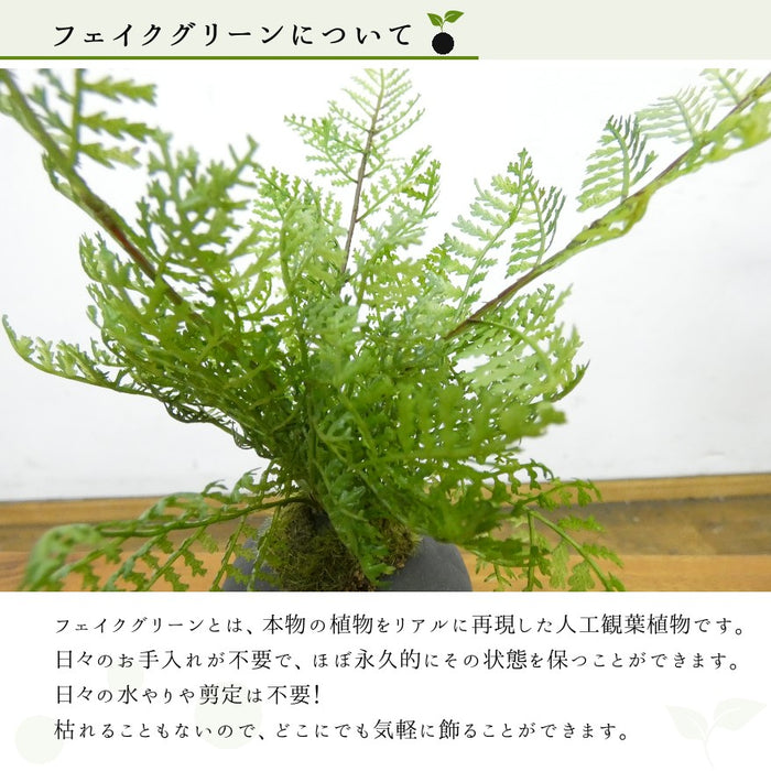 フェイクグリーンについて