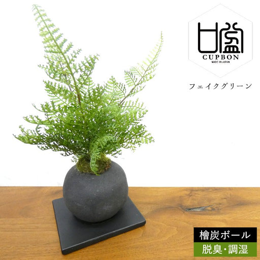 カップボン　檜炭ボール　シノブ