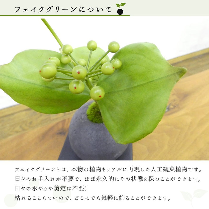 フェイクグリーンについて
