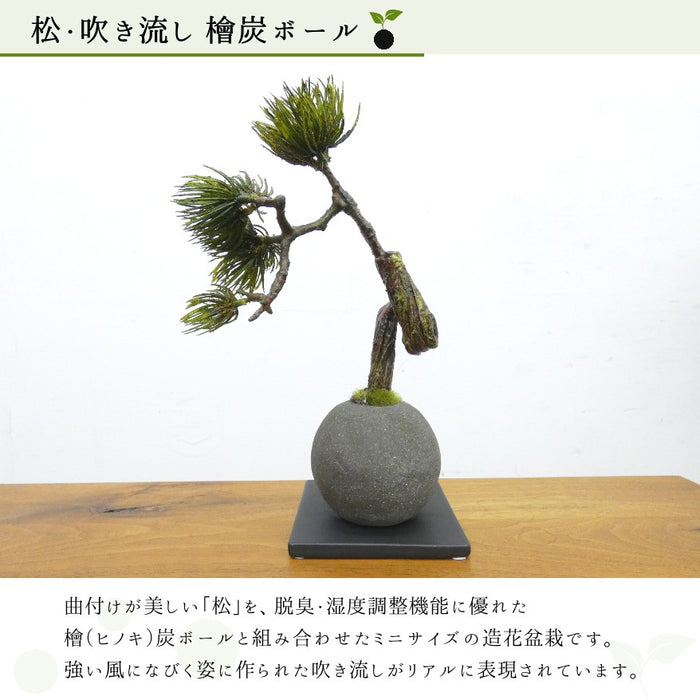 カップボン　檜炭ボール　松吹き流し