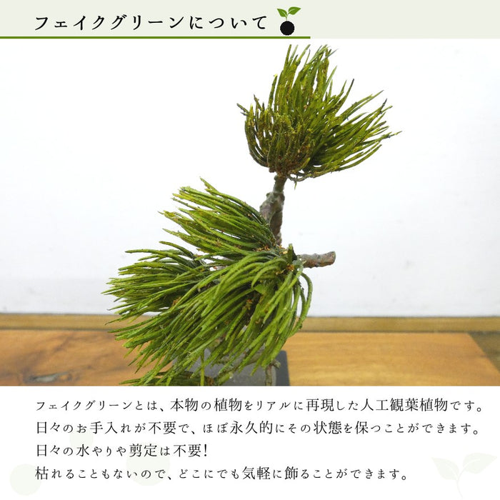 フェイクグリーンについて