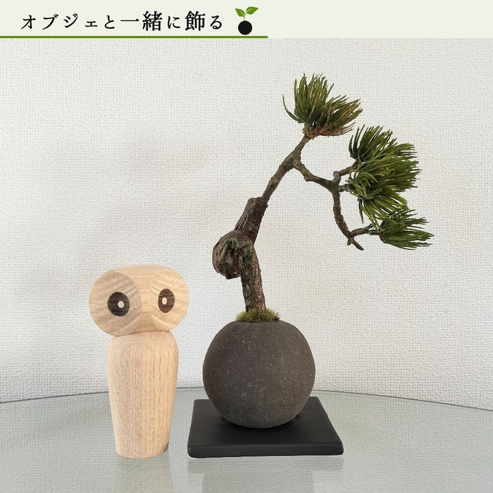 オブジェと一緒に