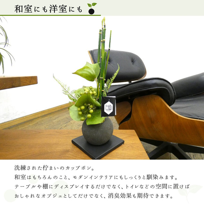 和室にも洋室にも