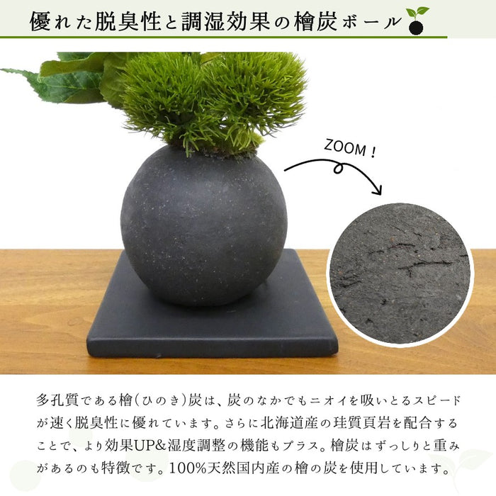 優れた脱臭性と調湿効果