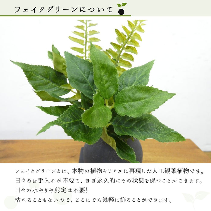 フェイクグリーンについて
