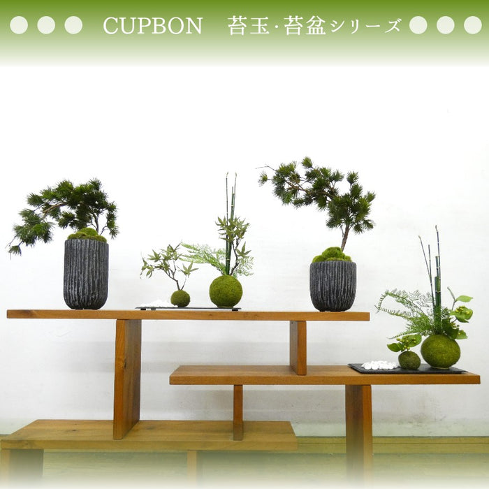 フェイクグリーン 造花盆栽 人工観葉植物 [松 吹き流し 苔盆] 黒陶器インテリアグリーン カップボン pr-18