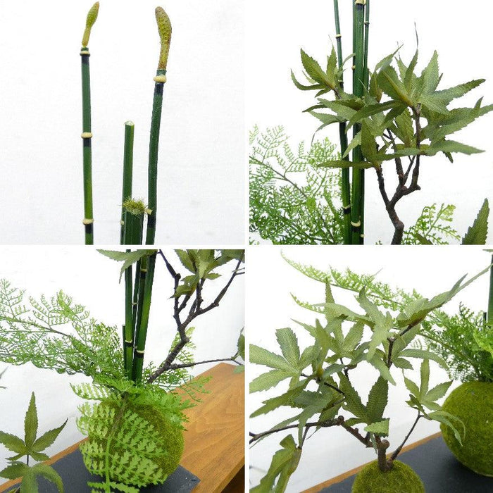 モミジ寄植えの詳細