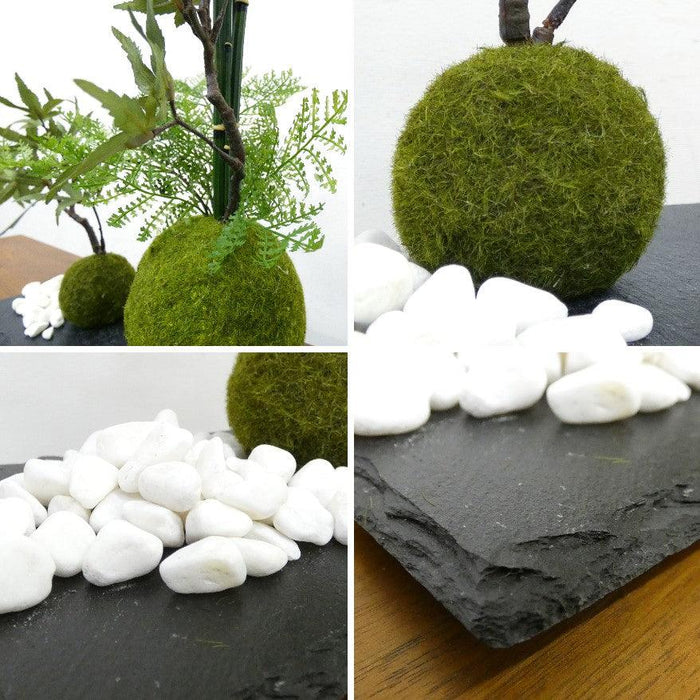 モミジ寄植えの詳細
