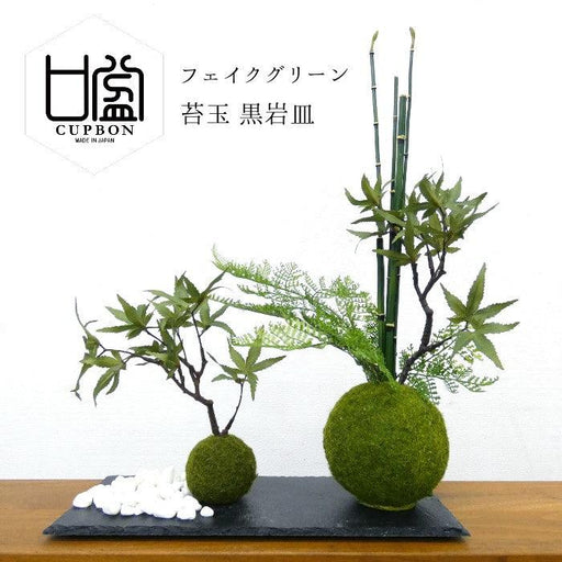 カップボン　苔玉黒岩皿　モミジ 